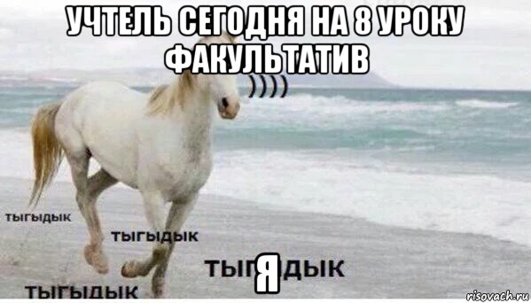 учтель сегодня на 8 уроку факультатив я, Мем   Тыгыдык