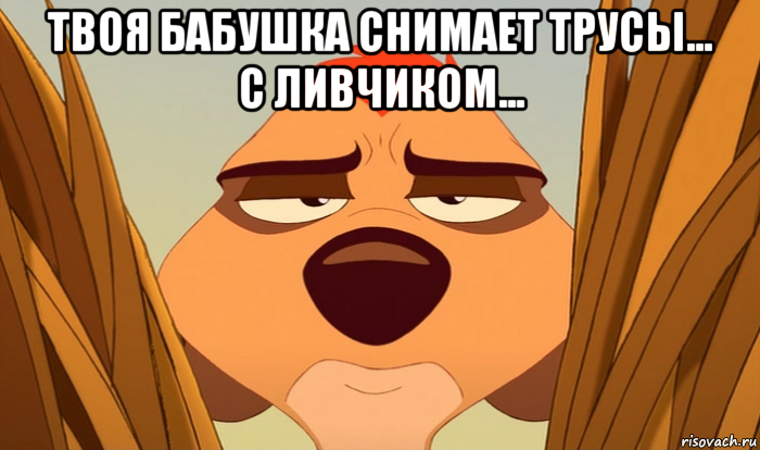 твоя бабушка снимает трусы... с ливчиком... , Мем Тимон