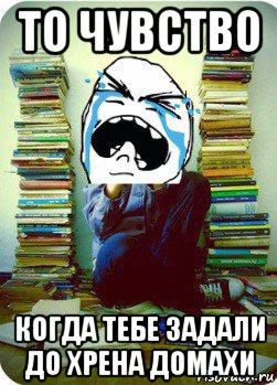 то чувство когда тебе задали до хрена домахи, Мем Типовий десятикласник