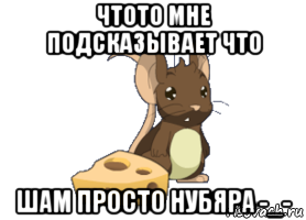 чтото мне подсказывает что шам просто нубяра -_-, Мем transformice