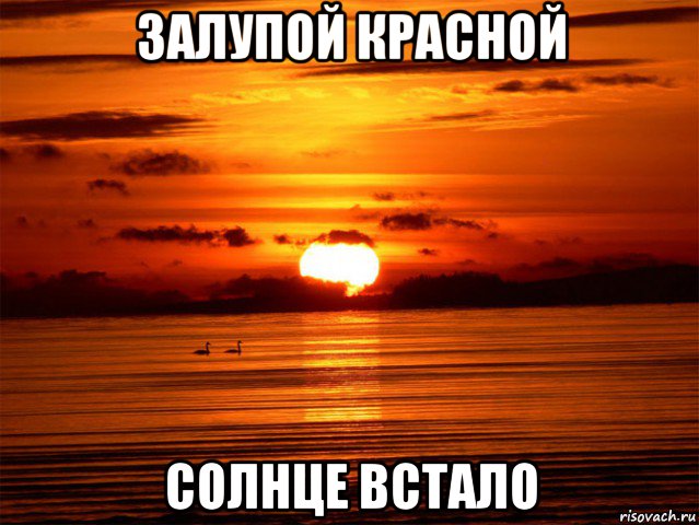 залупой красной солнце встало, Мем Ты мне не нравишься
