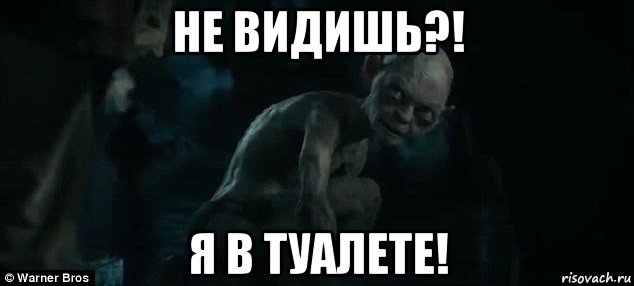 не видишь?! я в туалете!, Мем уходи