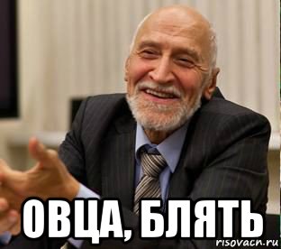  овца, блять, Мем укп
