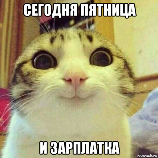 сегодня пятница и зарплатка