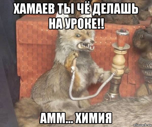 хамаев ты чё делашь на уроке!! амм... химия, Мем Упоротый лис курит кальян