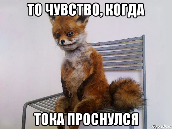 то чувство, когда тока проснулся