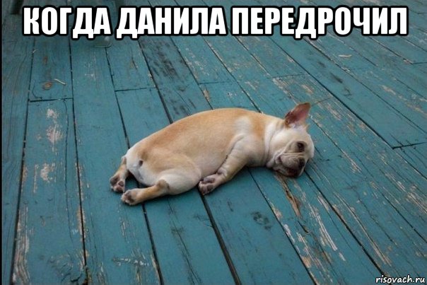 когда данила передрочил 
