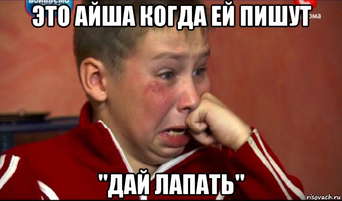 это айша когда ей пишут "дай лапать", Мем  Сашок Фокин