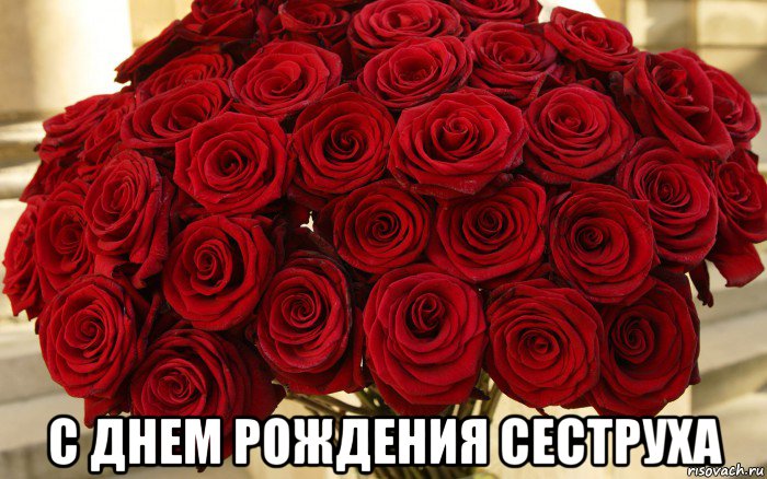  с днем рождения сеструха