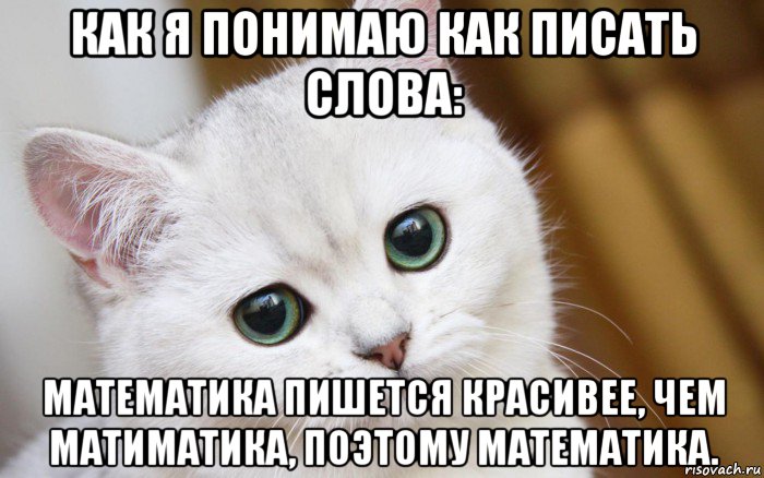 как я понимаю как писать слова: математика пишется красивее, чем матиматика, поэтому математика., Мем  В мире грустит один котик