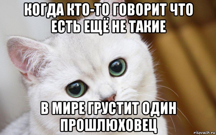 когда кто-то говорит что есть ещё не такие в мире грустит один прошлюховец, Мем  В мире грустит один котик