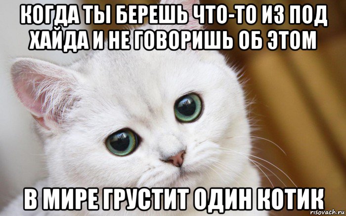 когда ты берешь что-то из под хайда и не говоришь об этом в мире грустит один котик, Мем  В мире грустит один котик