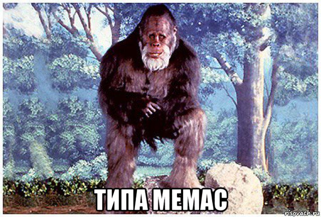  типа мемас