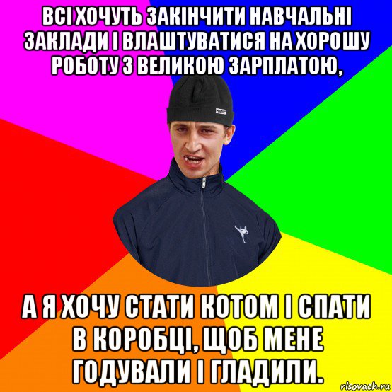 всі хочуть закінчити навчальні заклади і влаштуватися на хорошу роботу з великою зарплатою, а я хочу стати котом і спати в коробці, щоб мене годували і гладили.
