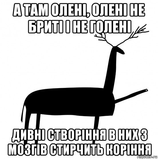 а там олені, олені не бриті і не голені дивні створіння в них з мозгів стирчить коріння