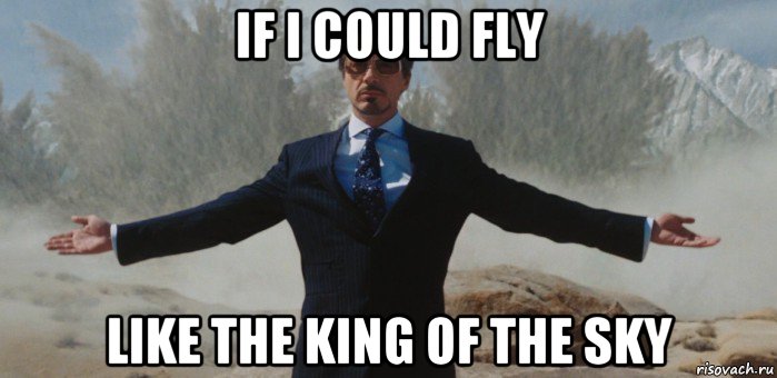 if i could fly like the king of the sky, Мем вин