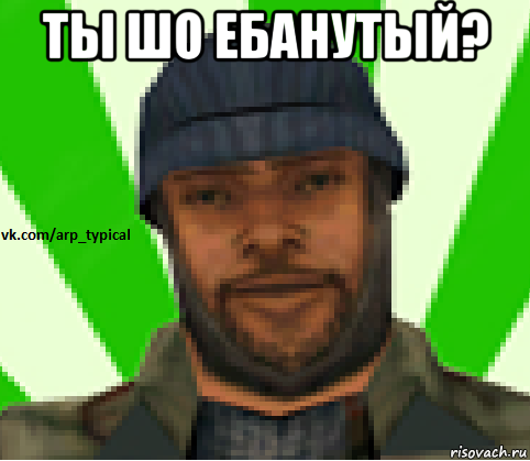 ты шо ебанутый? , Мем Vkcomarptypical