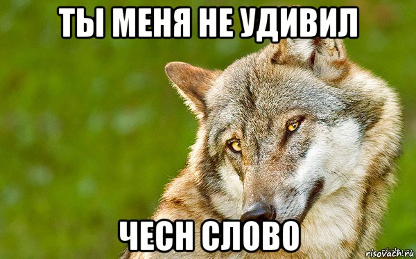 ты меня не удивил чесн слово, Мем   Volf