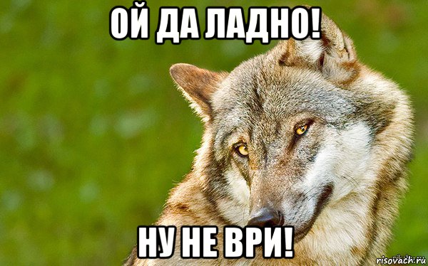 ой да ладно! ну не ври!, Мем   Volf