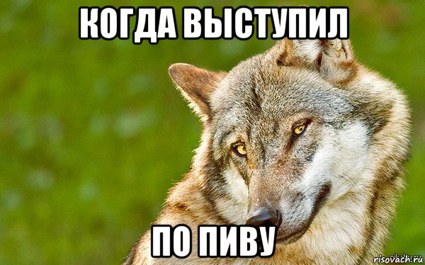 когда выступил по пиву, Мем   Volf