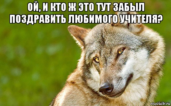 ой, и кто ж это тут забыл поздравить любимого учителя? , Мем   Volf