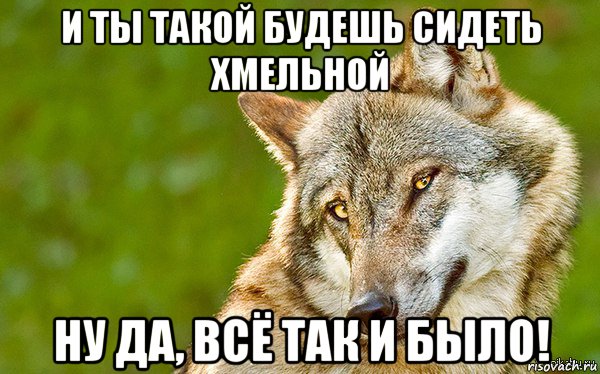 и ты такой будешь сидеть хмельной ну да, всё так и было!, Мем   Volf