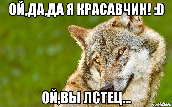 ой,да,да я красавчик! :d ой,вы лстец..., Мем   Volf