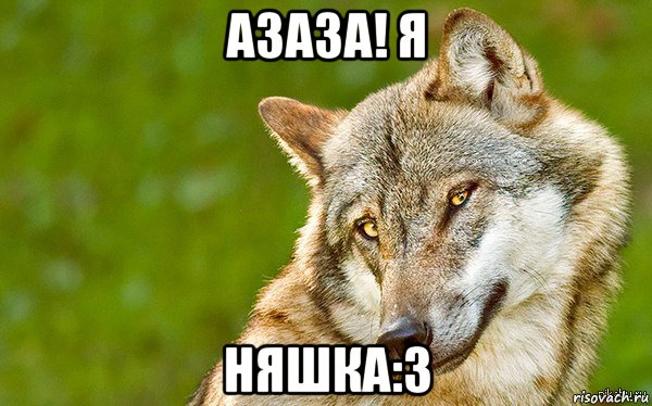 азаза! я няшка:3, Мем   Volf