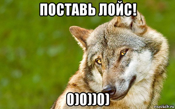 поставь лойс! 0)0))0), Мем   Volf