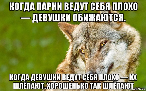 когда парни ведут себя плохо — девушки обижаются. когда девушки ведут себя плохо — их шлёпают. хорошенько так шлёпают, Мем   Volf