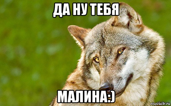 да ну тебя малина:), Мем   Volf