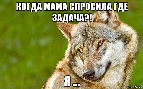 когда мама спросила где задача?! я ..., Мем   Volf