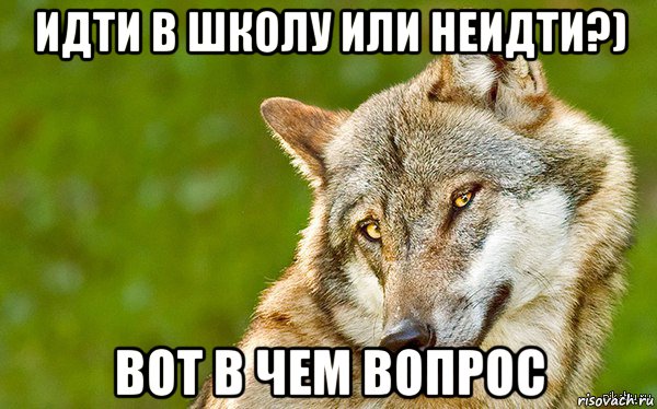 идти в школу или неидти?) вот в чем вопрос, Мем   Volf