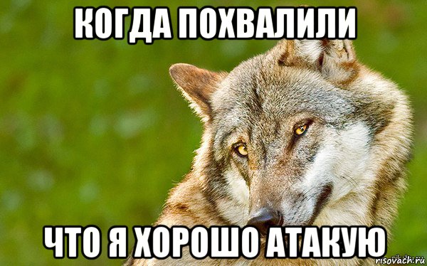 когда похвалили что я хорошо атакую, Мем   Volf