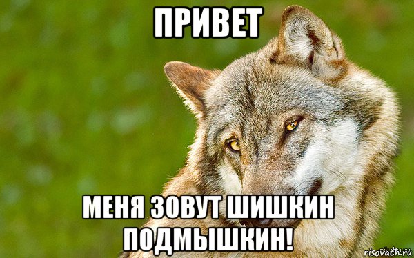 привет меня зовут шишкин подмышкин!, Мем   Volf