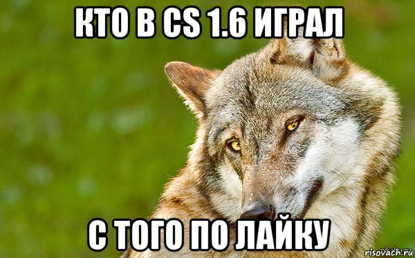 кто в cs 1.6 играл с того по лайку, Мем   Volf