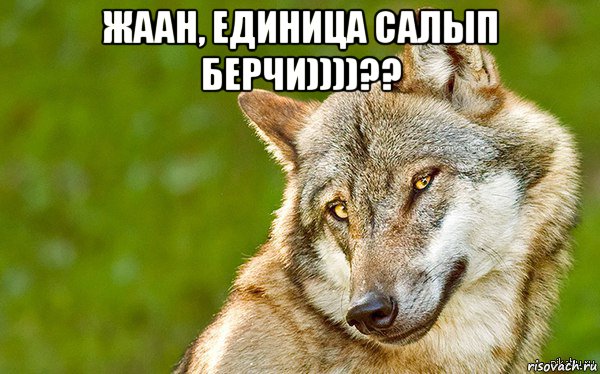 жаан, единица салып берчи))))?? , Мем   Volf