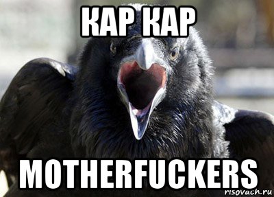 кар кар motherfuckers, Мем ворона
