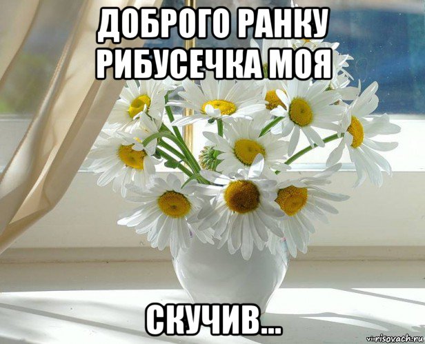 доброго ранку рибусечка моя скучив..., Мем xddddd