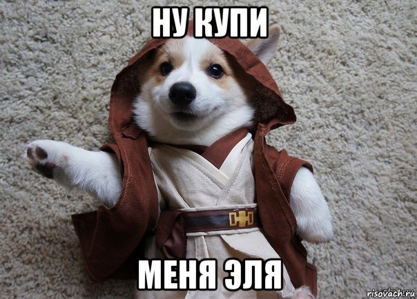 ну купи меня эля