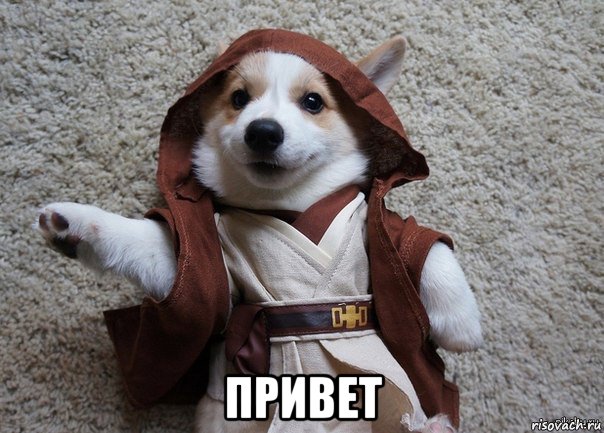  привет, Мем Я та собака