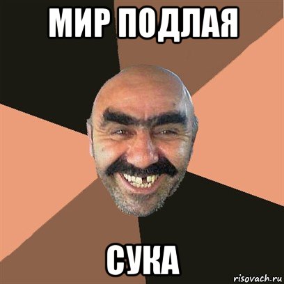 мир подлая сука, Мем Я твой дом труба шатал