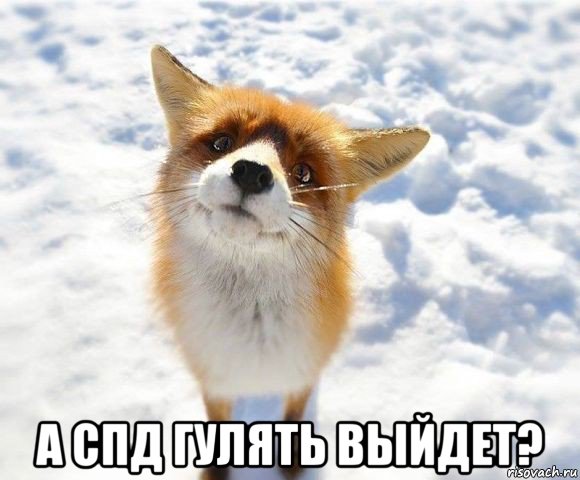  а спд гулять выйдет?