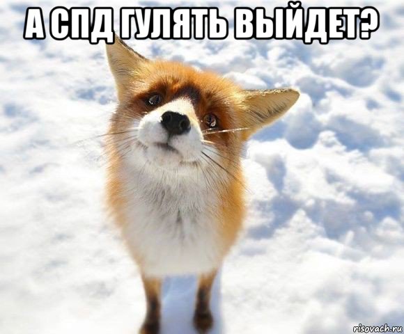 а спд гулять выйдет? 