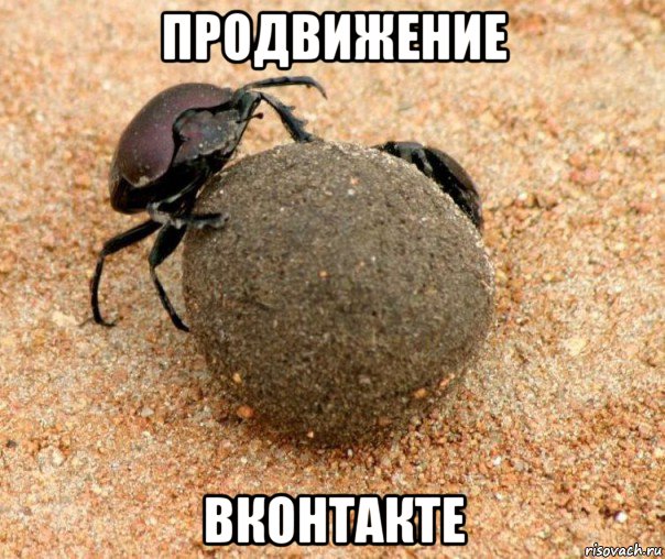 продвижение вконтакте