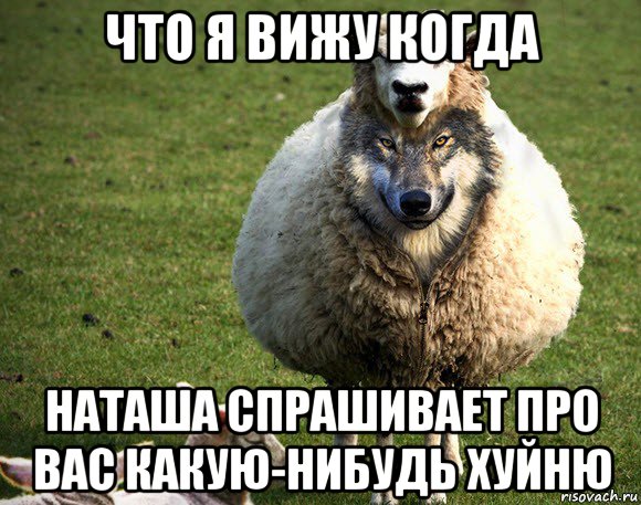 что я вижу когда наташа спрашивает про вас какую-нибудь хуйню, Мем Злая Овца