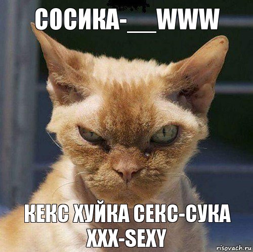 сосика-__WWW кекс хуйка секс-сука
ххх-sexy, Комикс  злой кот