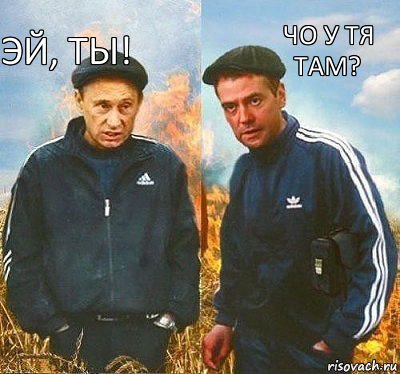 Чо у тя там? Эй, ты!, Комикс Вова и Дима