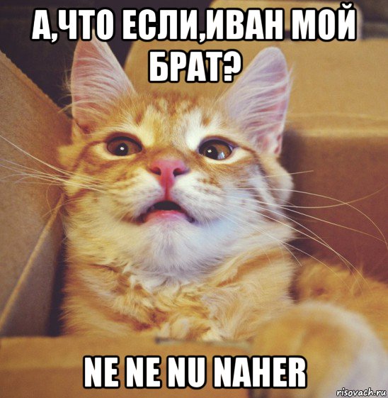 а,что если,иван мой брат? ne ne nu naher