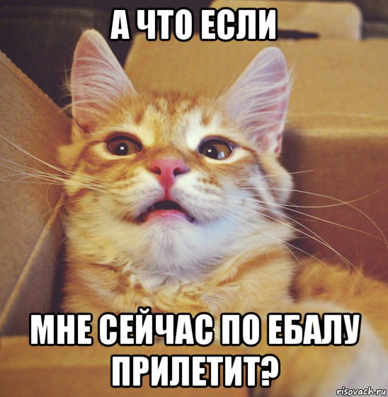 а что если мне сейчас по ебалу прилетит?
